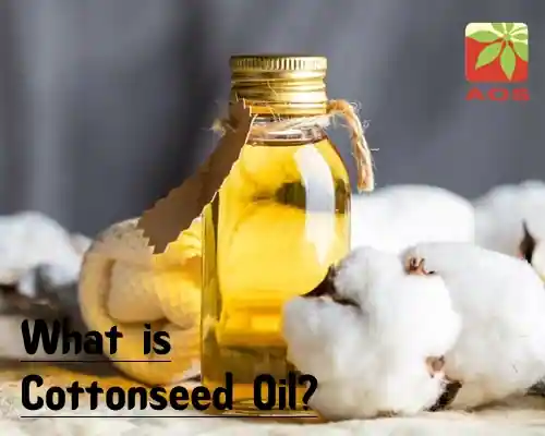 What is Cottonseed Oil