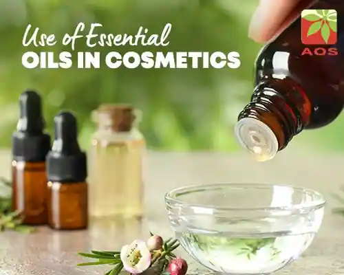 Importance of Essential Oil in Cosmetic Industry