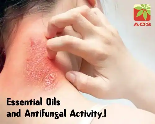 Essential Oils and Antifungal Activity