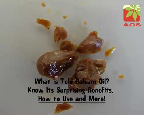 What is Tolu Balsam Oil