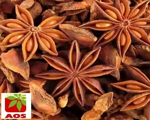 What is Anise Oil