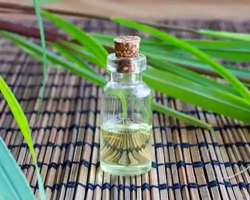 How to Check Purity of Citronella Oil