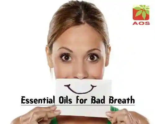 Essential Oils for Bad Breath