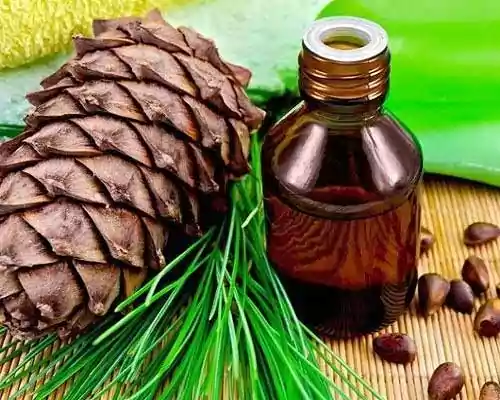 Pine Resin Turpentine Essential Oil - Organic (Pinus Pinaster