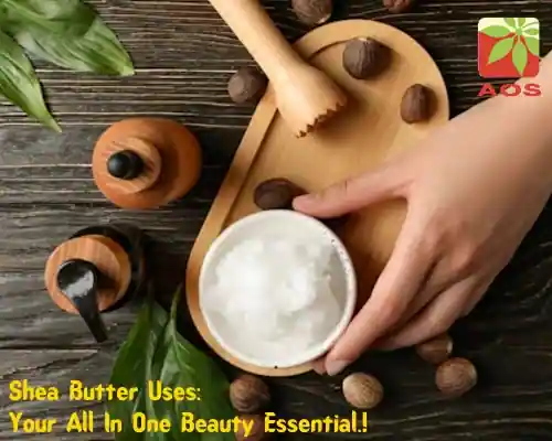 Shea Butter Uses Your All In One Beauty Essential