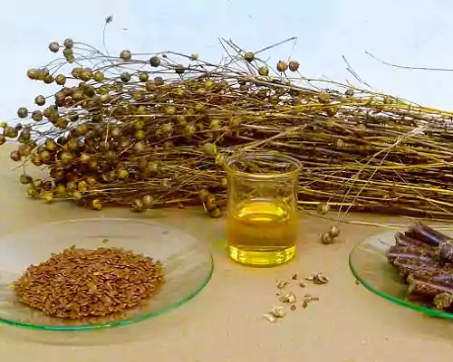 How to Check Purity of Linseed Oil