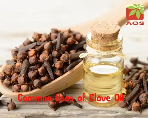 Common Uses of Clove Oil