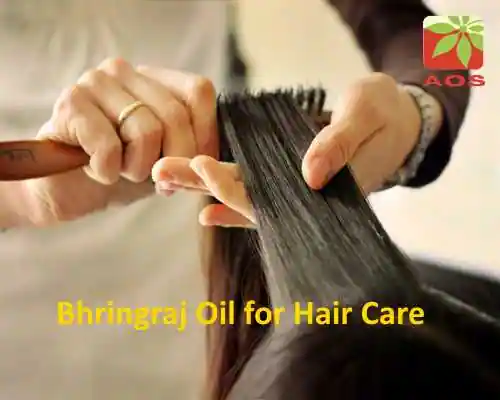 Bhringraj Oil for Hair Care