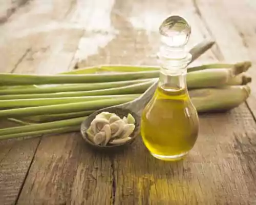 What is Lemongrass Essential Oil