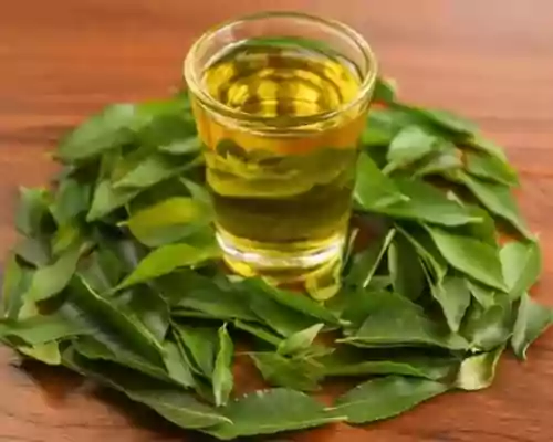 What is Curry Leaf Oil