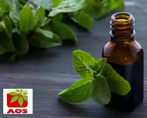 What is Peppermint Oil