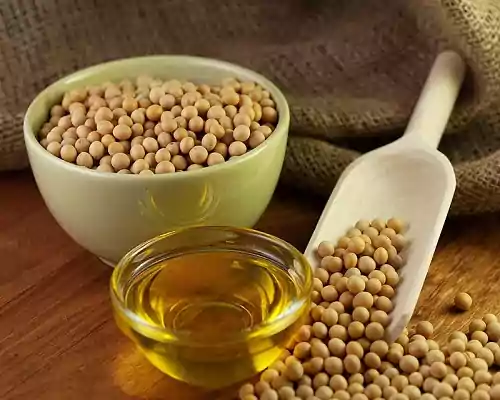 What is Soybean Oil