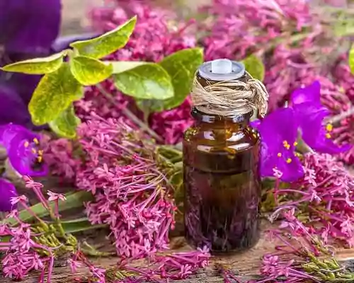 What is Clary Sage Oil