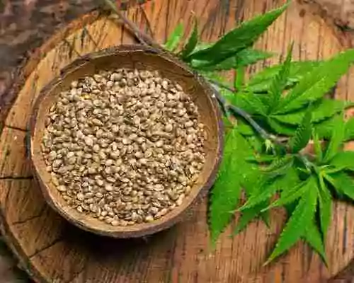 How to Check Purity of Hemp Seed Oil
