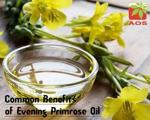 Common Benefits of Evening Primrose Oil