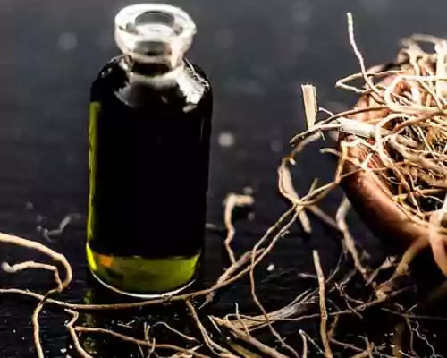 About Vetiver Oil