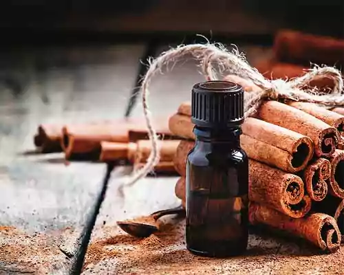 About Cinnamon Bark Oil