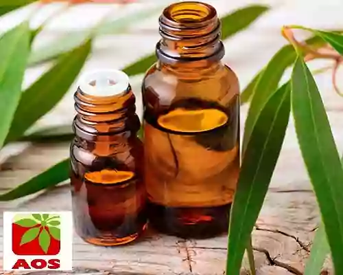 How to Check Original Eucalyptus Oil