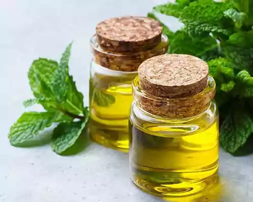 how to Check Purity of Mentha Oil