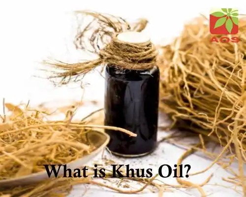 What is Khus Oil