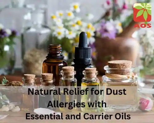 Natural Relief for Dust Allergies with Essential and Carrier Oils