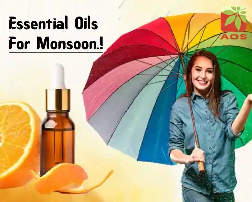 Essential Oils For Monsoon