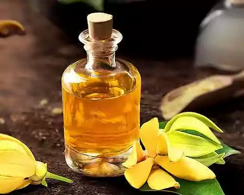 What is Ylang Ylang Oil