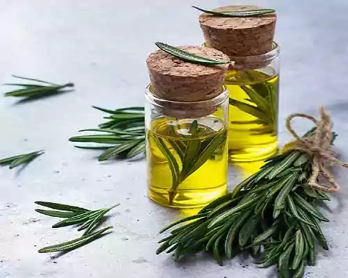 How to Check Purity of Rosemary Oil