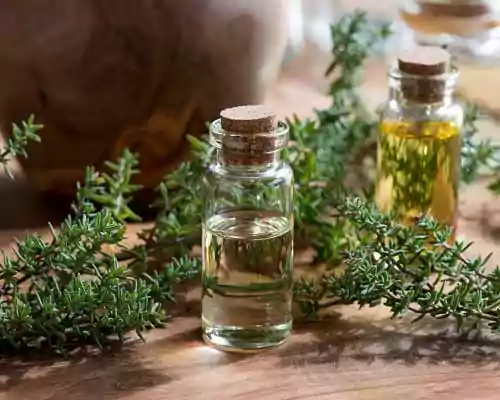 What is Thyme Oil