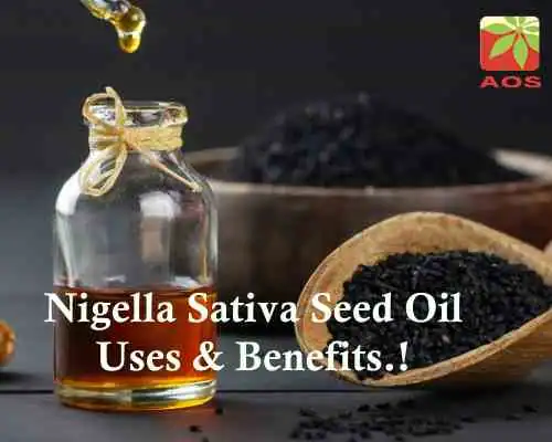 Nigella Sativa Seed Oil