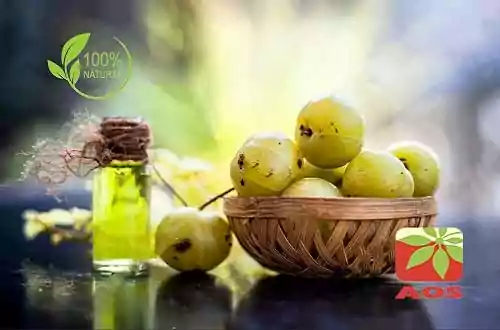 Amla Oil Manufacturer and Exporter India - AOS Products