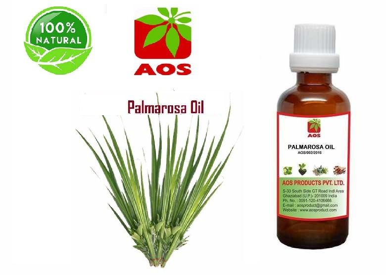 10 Incredible Uses Benefits Palmarosa Oil In Scents Skin Health Sore 2645