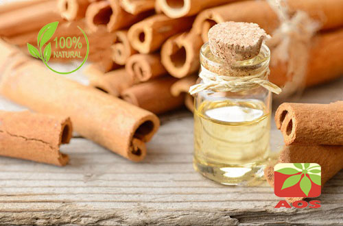 Cinnamon Bark Oil Uses Benefits Properties Aos Products Manufacturer Supplier