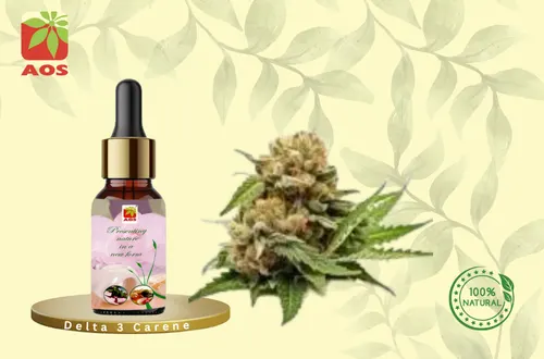 Delta 3 Carene Delta 3 Carene