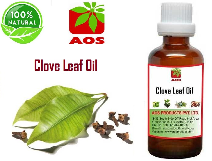 8 Types Uses of Clove Leaf Oil, Benefits in Scents, dandruff - Best Price