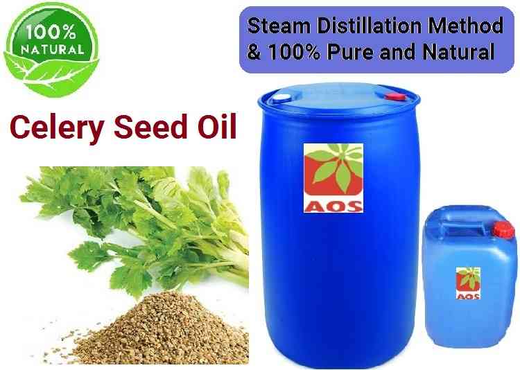 Celery Seed Oil Uses, Benefits, Properties of Essential Oil