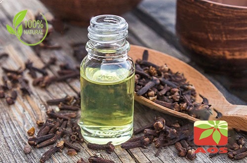 Clove Oil Uses and Health Benefits - Manufacturer and exporter