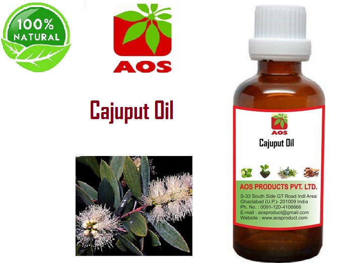 5 Essential Benefits And Uses Of Cajeput Oil In Acne - Shop High Quality