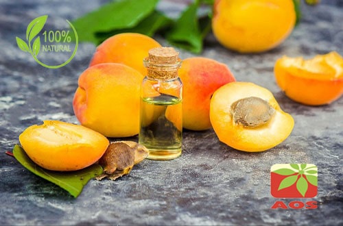 Apricot Oil - Uses, Benefits, Extraction Process of ...