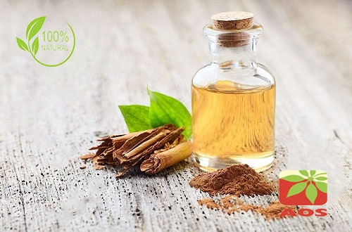 Cinnamon Leaf Oil Uses, Benefits - AOS Products Manufacturer