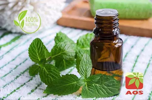 Mentha Citrata Oil