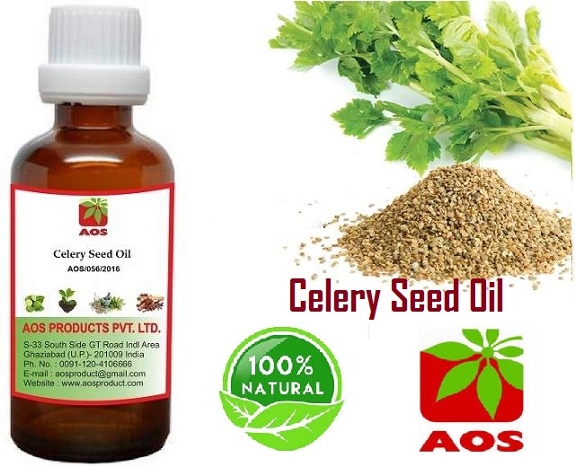 14 Proven benefits, uses Celery Seed Oil Manufacturer, Exporters