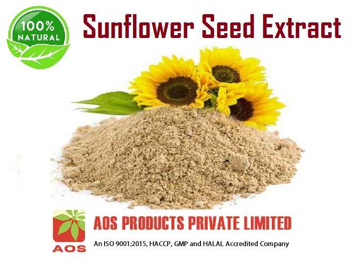 sunflower-seed-extract-uses-benefits-and-properties