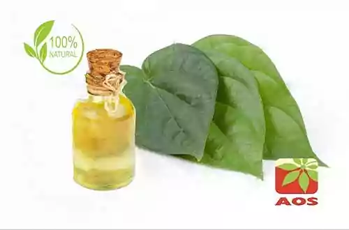 Betel Leaf oil