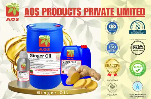 Ginger Oil