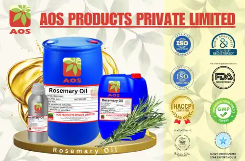 Rosemary Oil