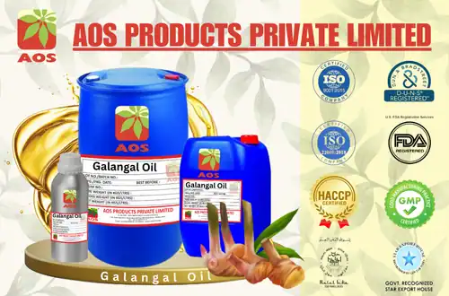 Galangal Oil