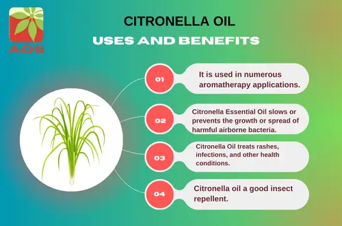 Citronella Oil