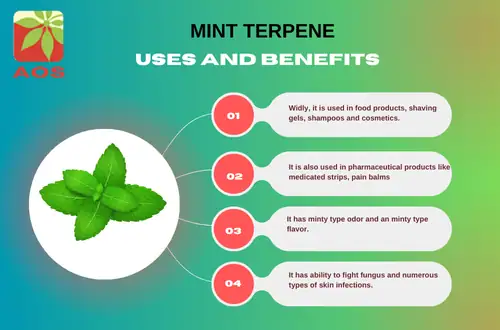 Mint Terpene