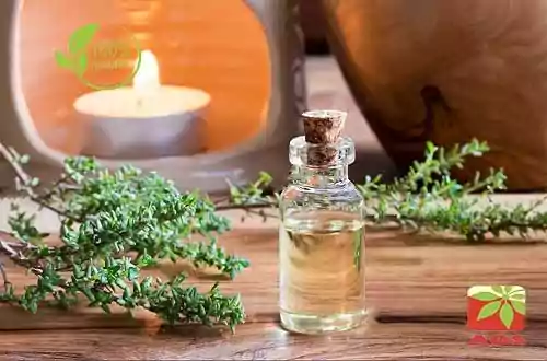 Thyme Oil